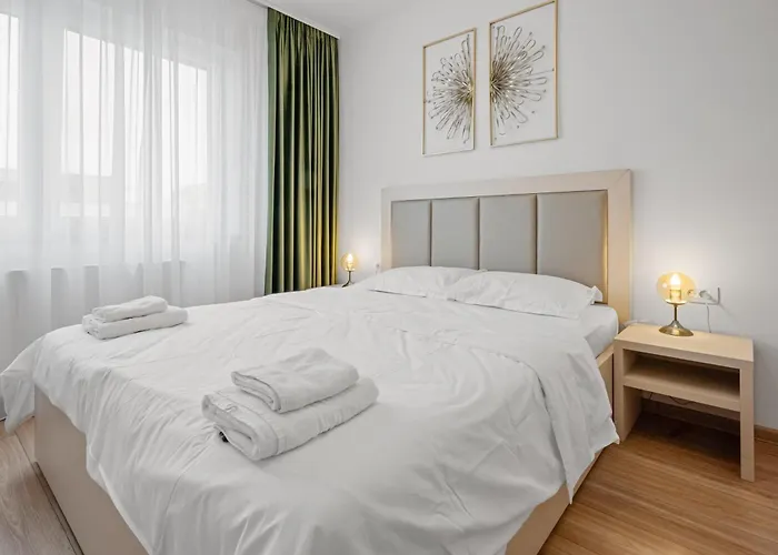 Artmob Coresi 브라쇼브